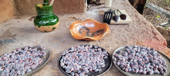The Magic of Cacao photo 5
