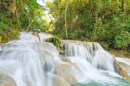 Waterfalls & Coffee Traditions in the Sierra Madre del Sur