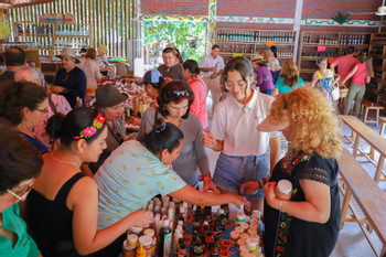 Waterfalls & Coffee Traditions in the Sierra Madre del Sur photo 5