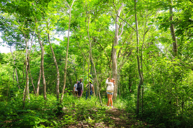 YooNashi Trail Conservation and Community in Huatulco Photo