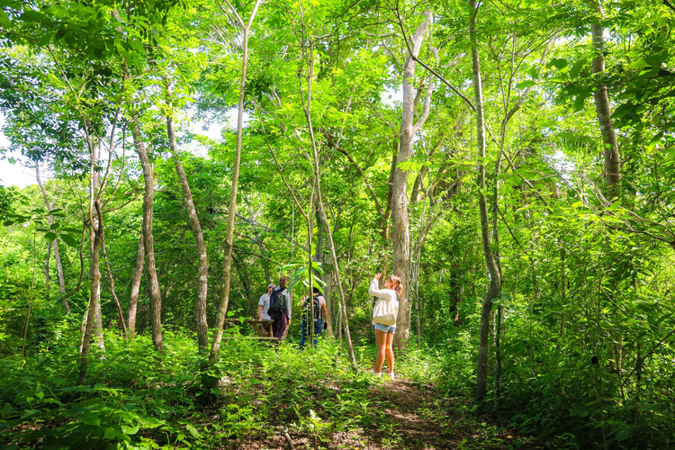 YooNashi Trail Conservation and Community in Huatulco photo