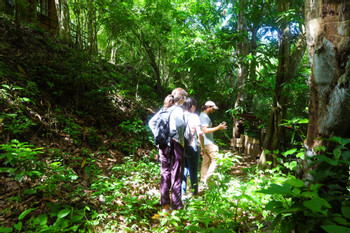 YooNashi Trail Conservation and Community in Huatulco photo 4