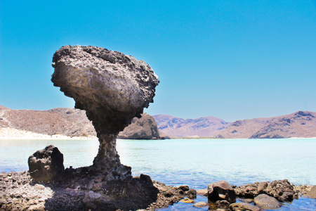 La Paz City Highlights & Balandra Bay