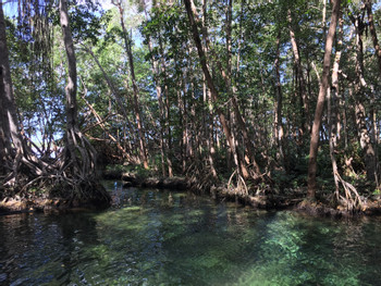 Sail Through Nature’s Sanctuary in Celestún photo 3