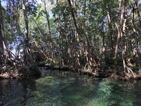 Sail Through Nature’s Sanctuary in Celestún photo 3