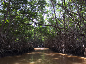 Sail Through Nature’s Sanctuary in Celestún photo 4