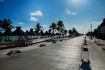 Sisal Mangroves and Beach photo 4