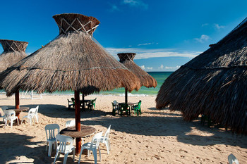 Sisal Mangroves and Beach photo 5