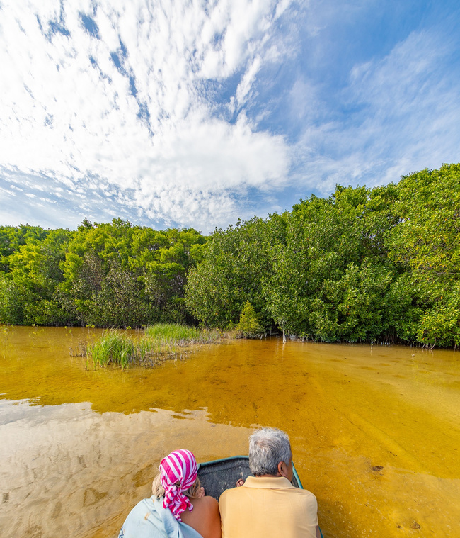 Sisal Mangroves and Beach Photo