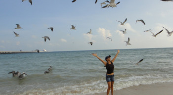 Sisal Mangroves and Beach photo 2