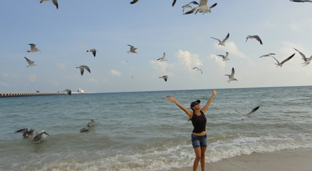 Sisal Mangroves and Beach photo 2