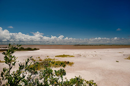 Sisal Mangroves and Beach photo 3