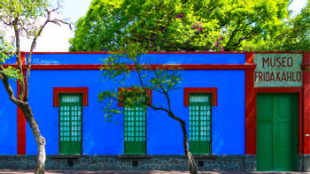 Frida Kahlo Museum (Casa Azul) Guided Visit photo 4
