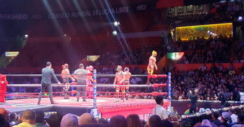 Mezcal, and Masks: A Night of Lucha Libre photo 2