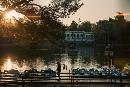 Luxury Polanco & Chapultepec Park Segway Tour photo 2
