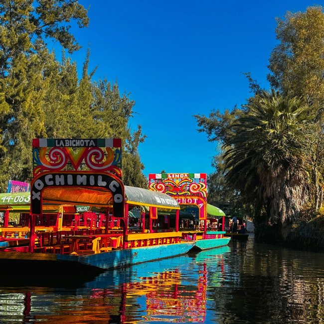 Xochimilco and the bohemian Coyoacan Photo
