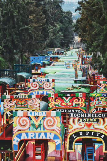 Xochimilco and the bohemian Coyoacan photo 5