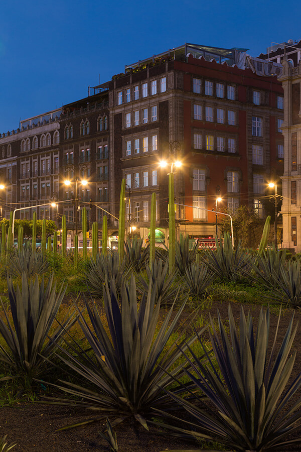 Zócalo Central Photo