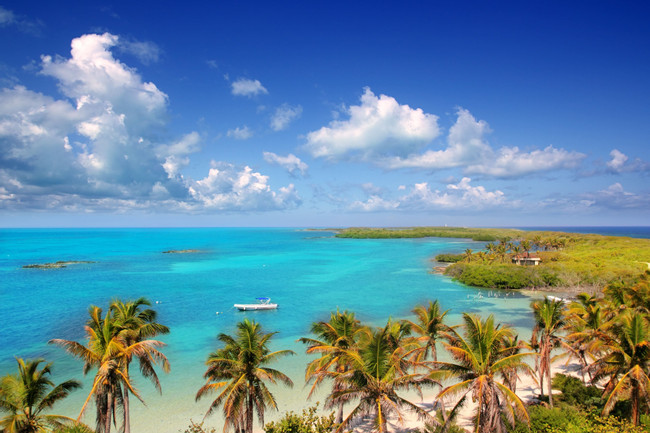 Isla Contoy and Isla Mujeres photo