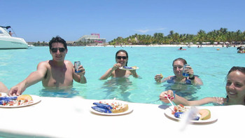 Swim with Whale Sharks: The Gentle Giants of the Caribbean photo 4