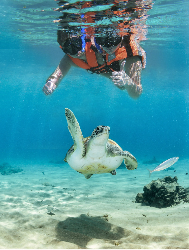 Caribbean Reef & Sacred Cenote photo