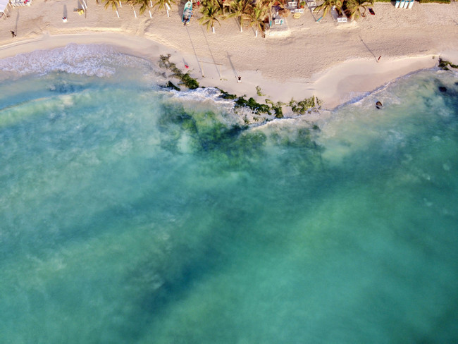 Playa del Carmen