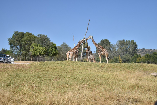 Africam Safari Family Adventure Photo