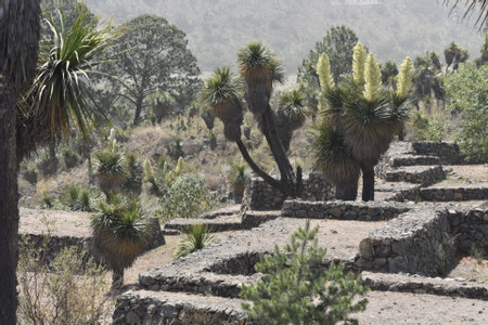 Ancient Paths and Volcanic Landscapes: Cantona & Alchichica Lagoon photo 2