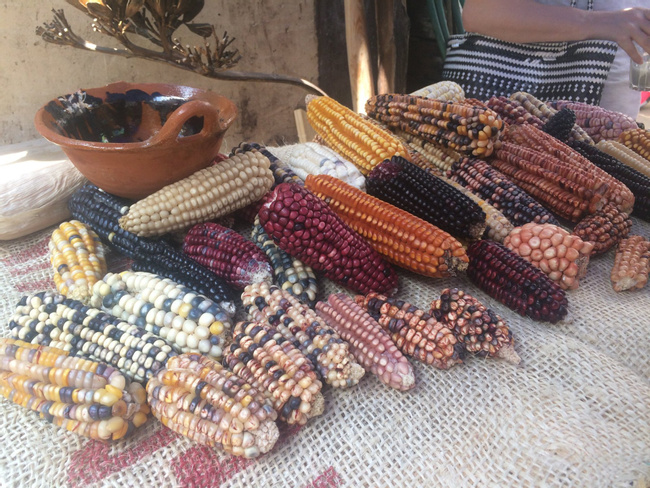 Embrace the Art of the Tortilla: A Maize Tradition in Cholula Photo
