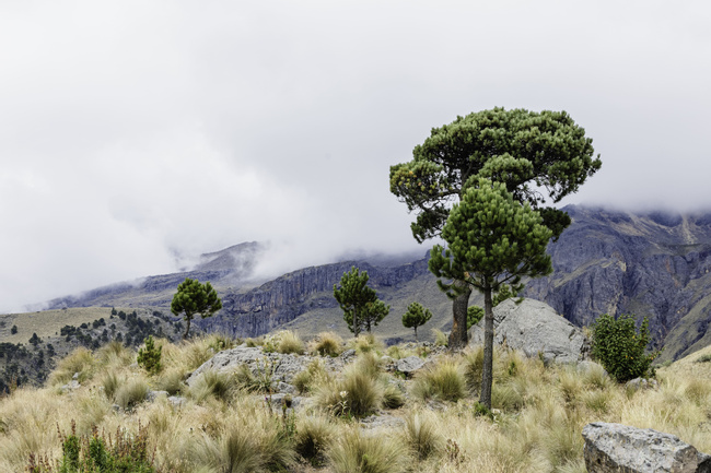 Between Volcanoes: Hiking the Izta-Popo National Park Photo