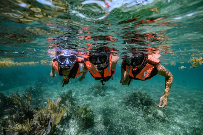 Snorkeling Adventure at Puerto Morelos Reef