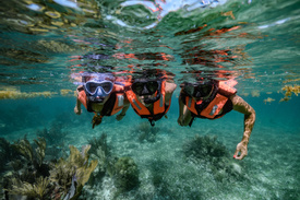 Snorkeling tour in Puerto Morelos