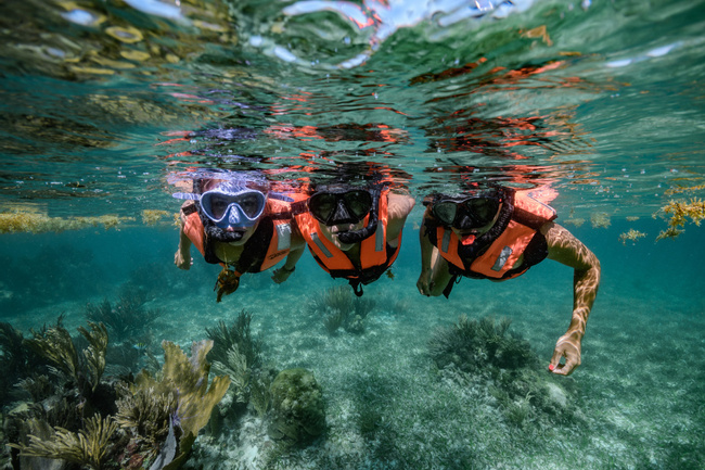 Snorkeling Adventure at Puerto Morelos Reef Photo