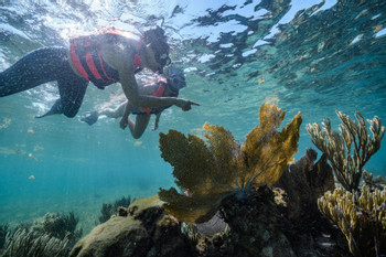 Snorkeling Adventure at Puerto Morelos Reef