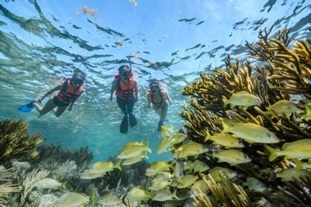 Snorkeling Adventure at Puerto Morelos Reef