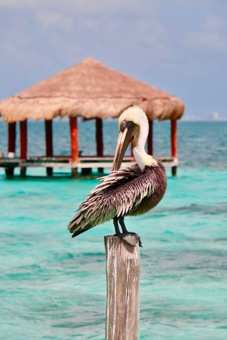 Puerto Morelos - Destination Photo