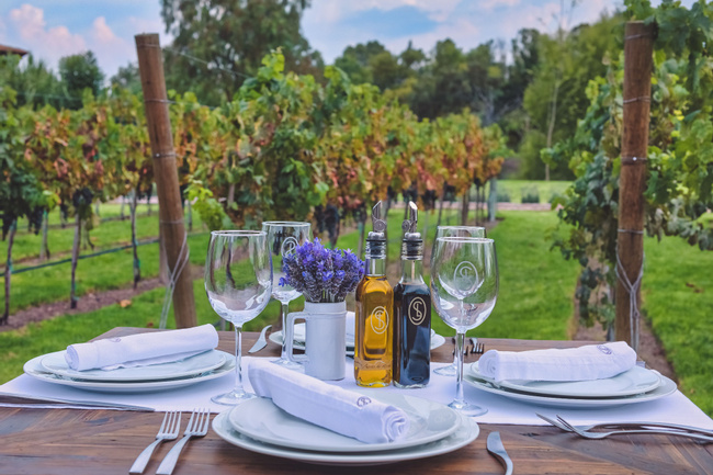 San Lucas Vineyard Experience Photo