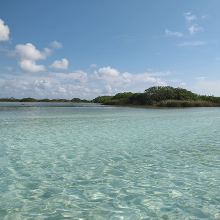 Sian Ka’an Biosphere: Ancient Canals & Caribbean Wonders photo 2