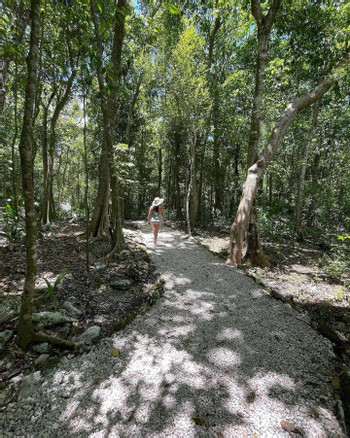 Birdwatching Walk in the Sian Ka’an Biosphere Reserve photo 4