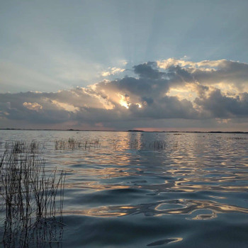 Birdwatching Walk in the Sian Ka’an Biosphere Reserve photo 3