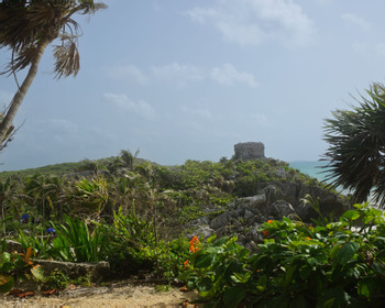 Explore the Ancient City of Tulum photo 4