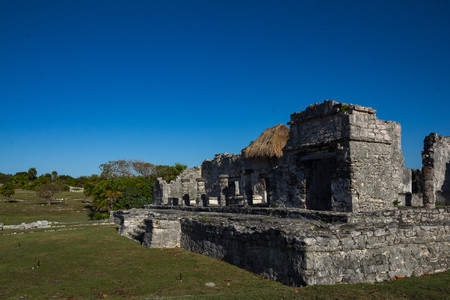 Tulum Jungle Adventure photo 3