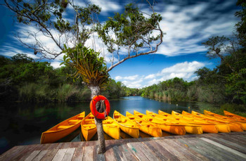 Tulum Jungle Adventure photo 4