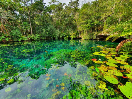 Tulum Jungle Adventure photo 2