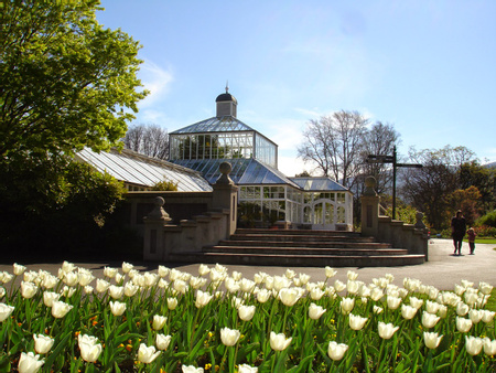 Dunedin Botanic Garden