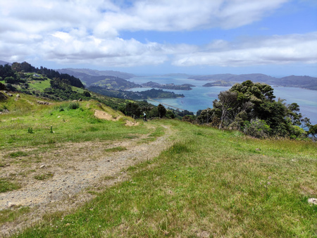 Otago Peninsula