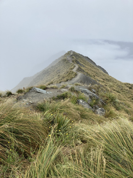 Roys Peak