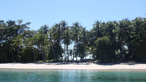 Seagull Cove Resort Panama