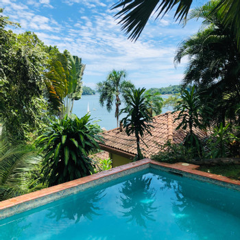 Seagull Cove Resort photo 3
