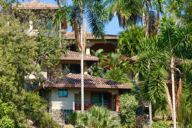 Seagull Cove Resort photo